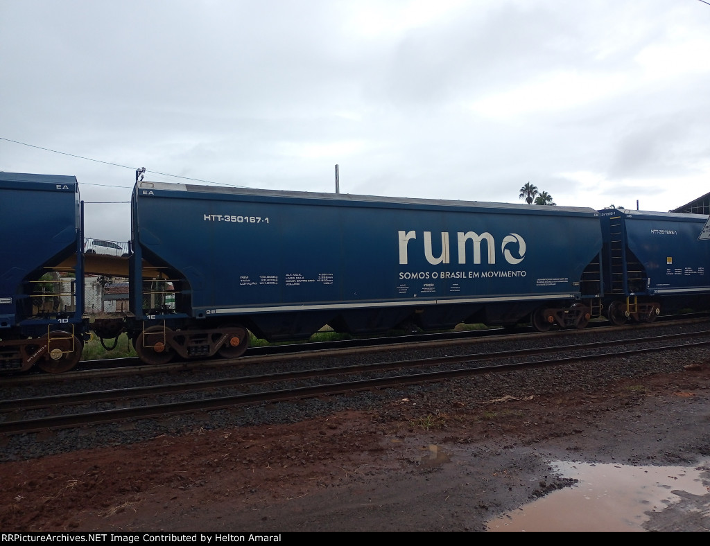 RUMO HTT-350167-1